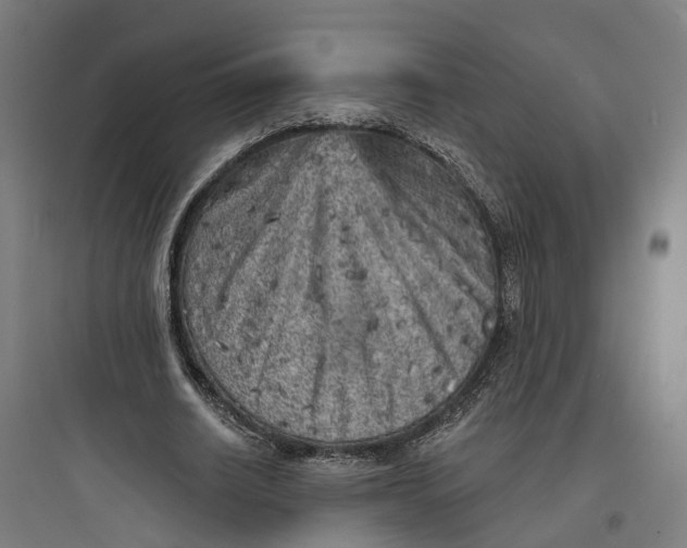 X0000093760630200711061111