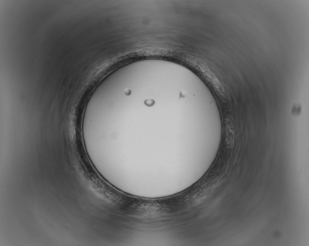 X0000093760631200711061111