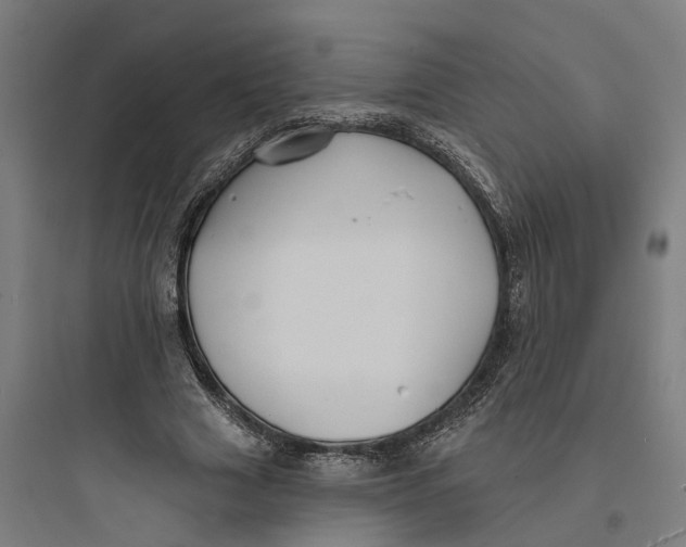 X0000093760633200711061111