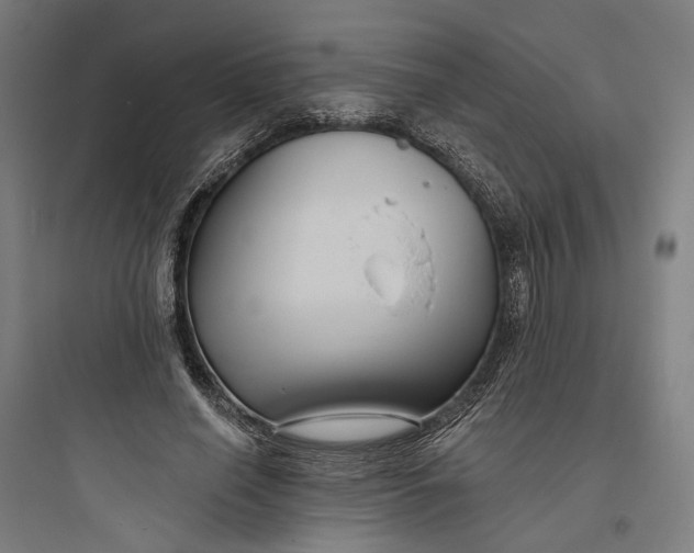 X0000093760638200711061111