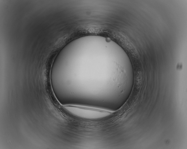 X0000093760639200711061112