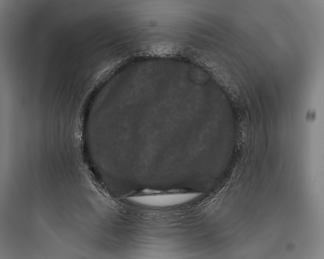 X0000093760640200711061112