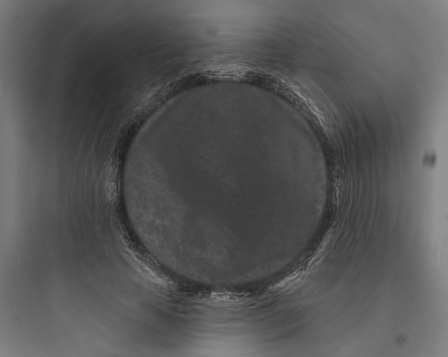 X0000093760641200711061112