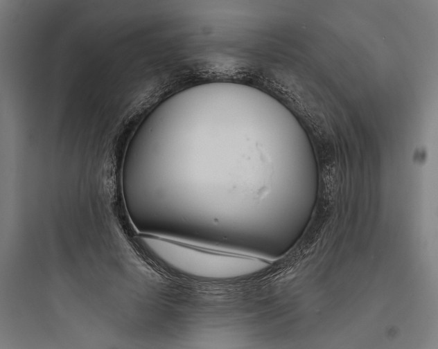 X0000093760642200711061112