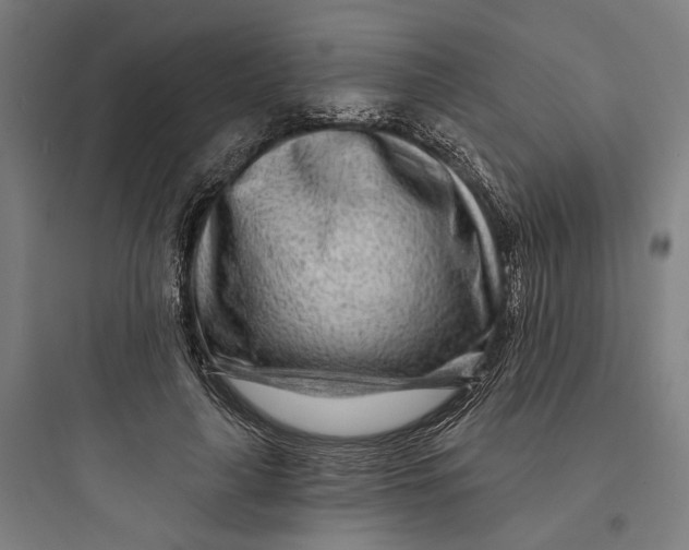 X0000093760643200711061112