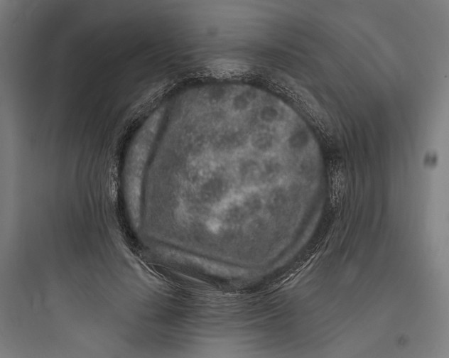 X0000093760644200711061112