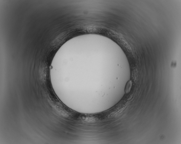 X0000093760645200711061112