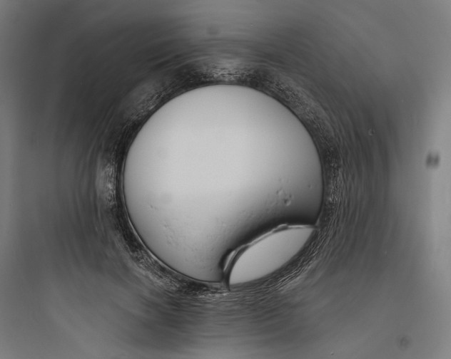 X0000093760646200711061112