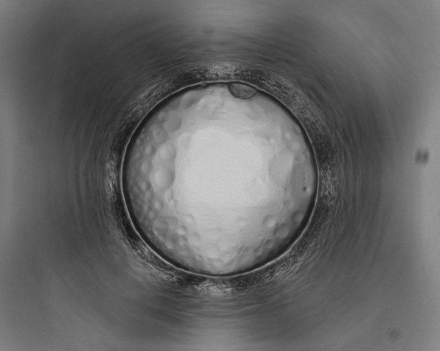 X0000093760648200711061112