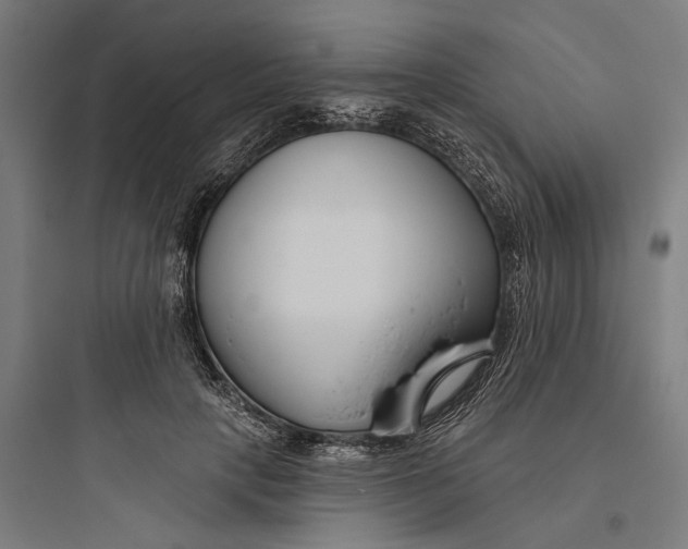 X0000093760649200711061112