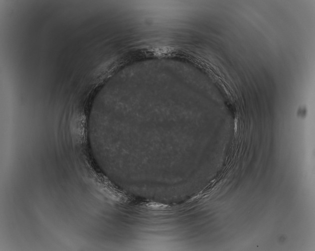 X0000093760650200711061112