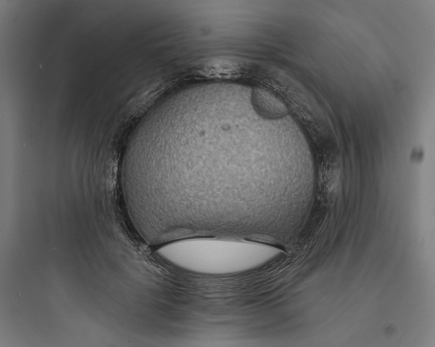 X0000093760652200711061112