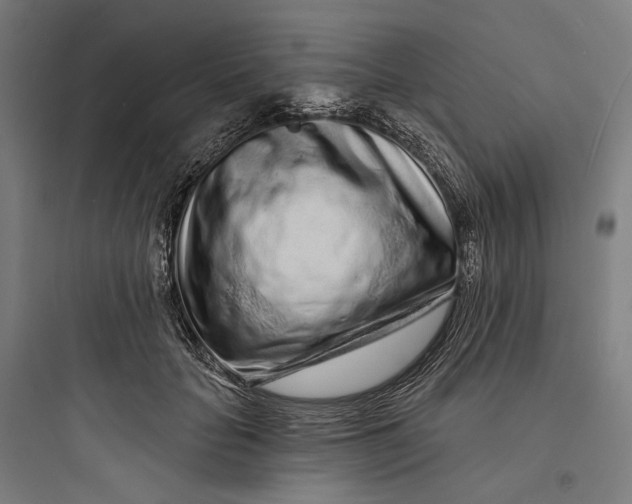 X0000093760653200711061112