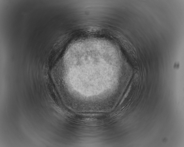 X0000093760654200711061112