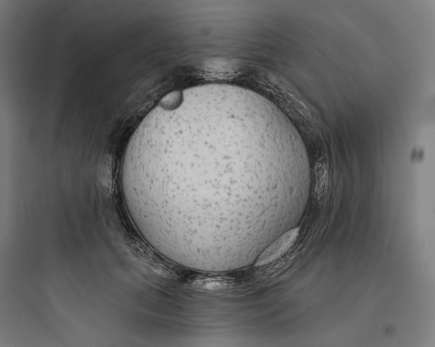 X0000093760655200711061112