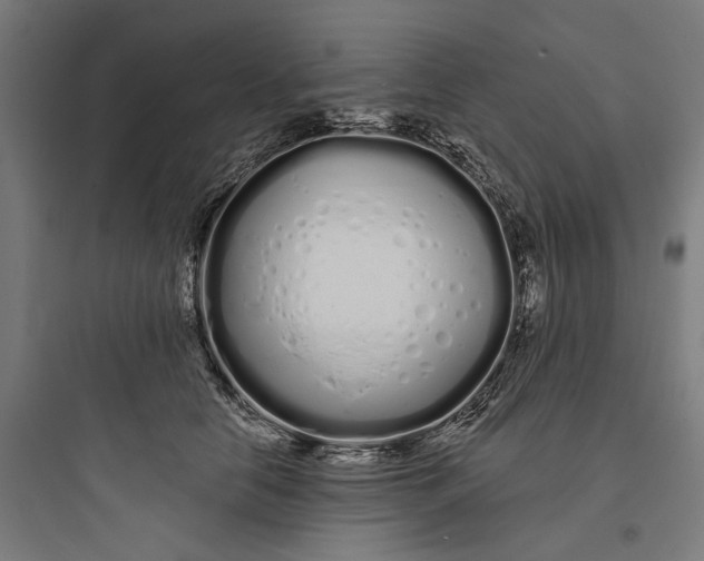 X0000093760658200711061112