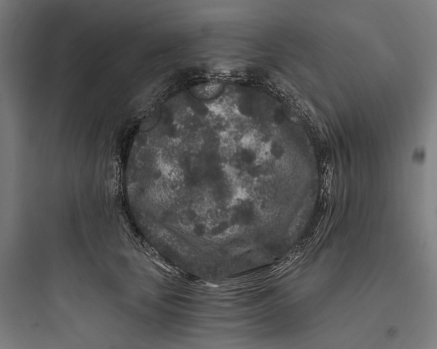 X0000093760659200711061112