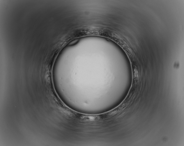 X0000093760663200711061112