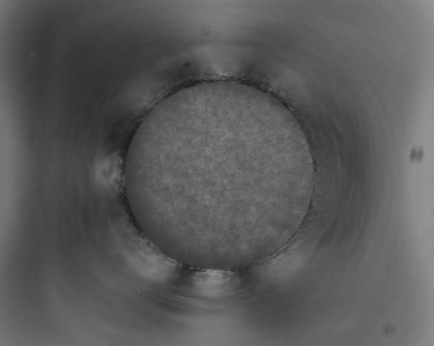 X0000093760672200711061112