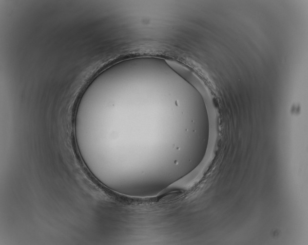 X0000093760673200711061111