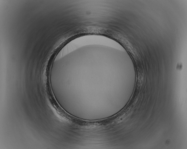 X0000093760674200711061111