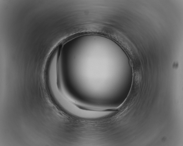 X0000093760676200711061111