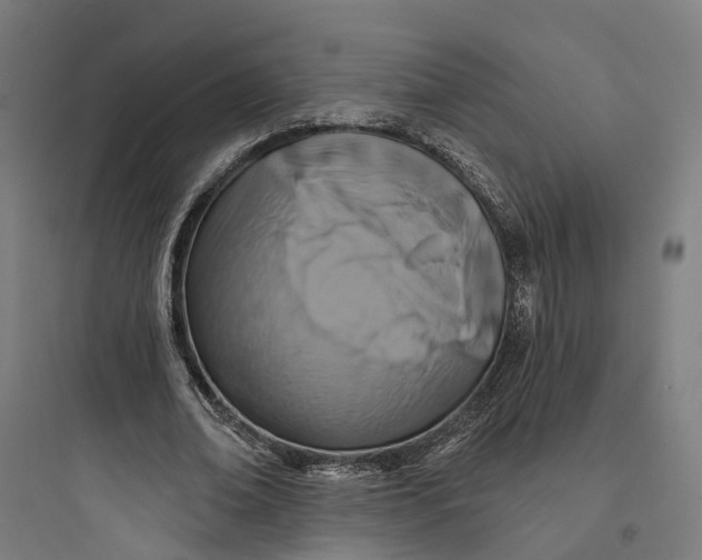 X0000093760678200711061111