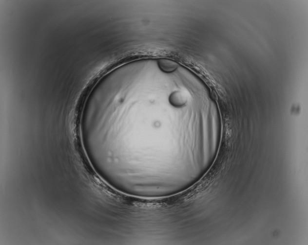 X0000093760679200711061111