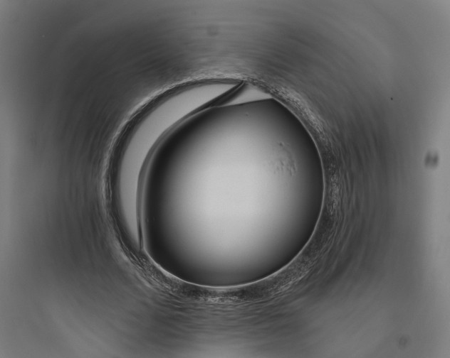 X0000093760680200711061111