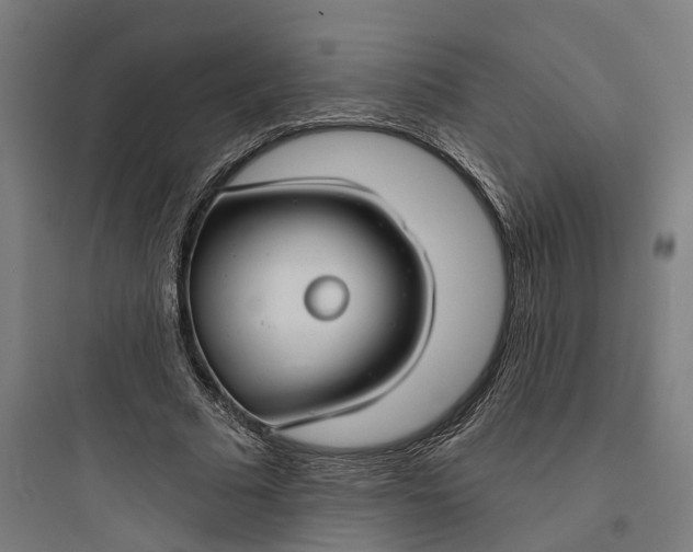 X0000093760681200711061111