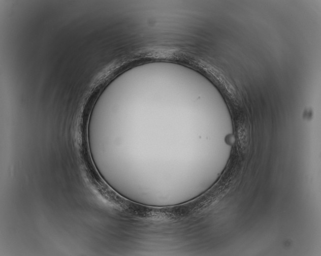 X0000093760682200711061111