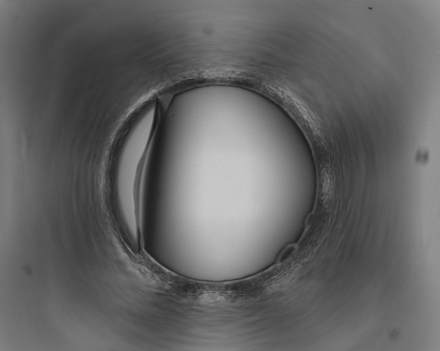 X0000093760684200711061111