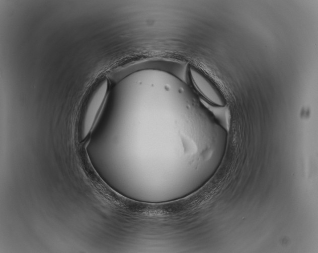 X0000093760685200711061111