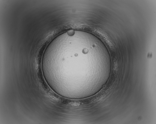 X0000093760687200711061111