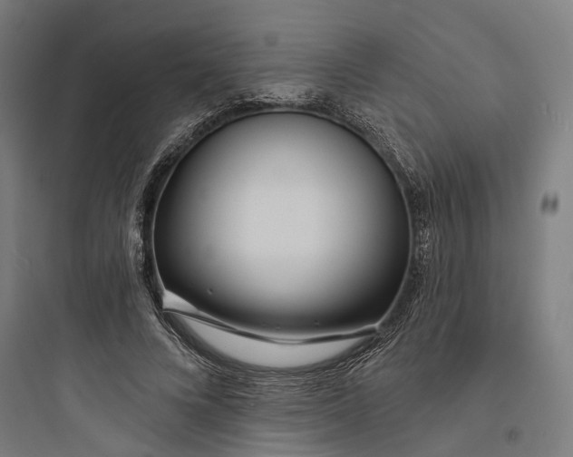 X0000093760688200711061111