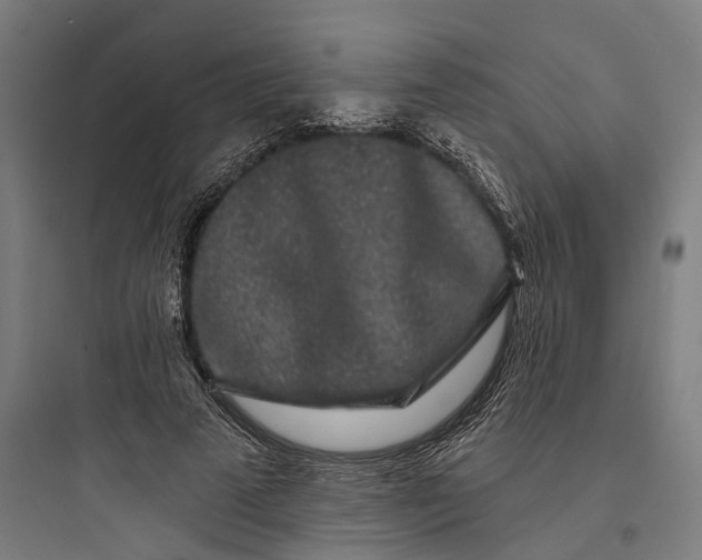 X0000093760689200711061111