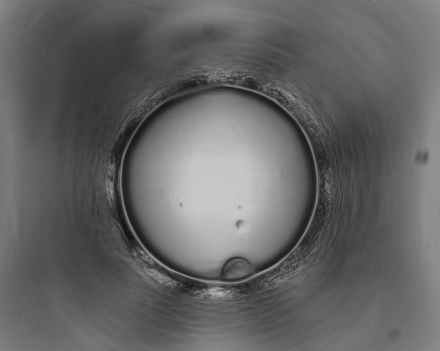 X0000093760691200711061111