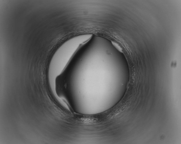 X0000093760693200711061111