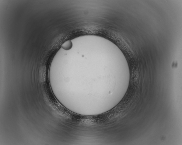 X0000093760694200711061111