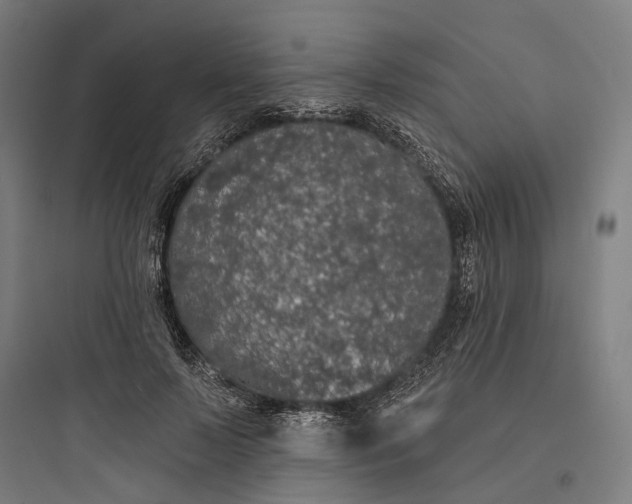 X0000093760695200711061111