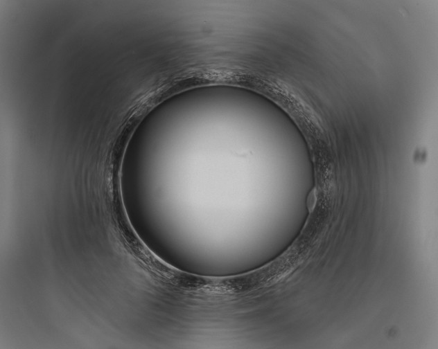 X0000093760696200711061111