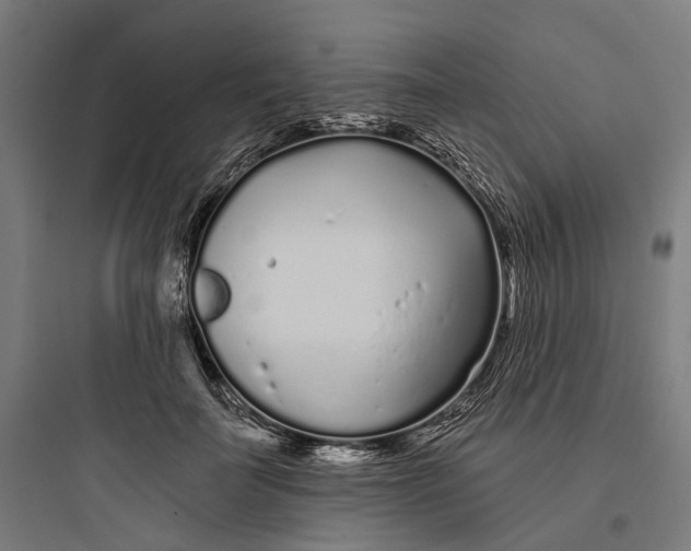 X0000093760699200711061111