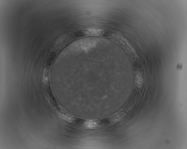 X0000093760701200711061111