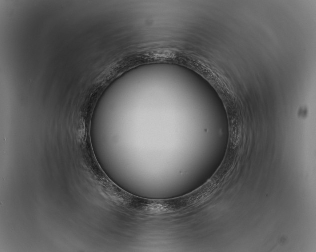 X0000093760704200711061111