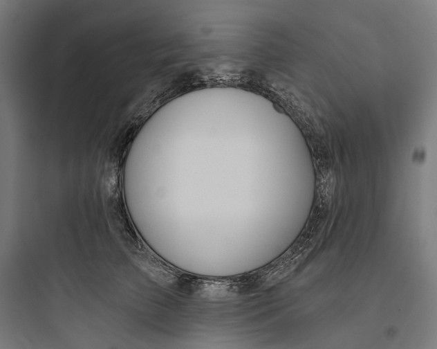 X0000093760709200711061111