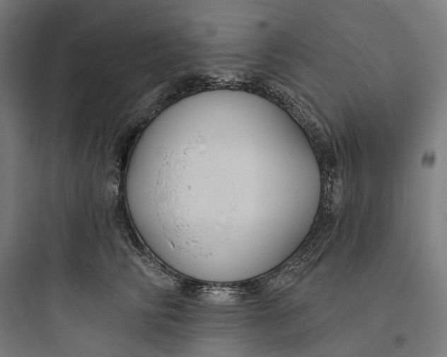 X0000093760710200711061111