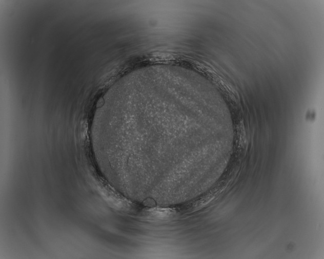 X0000093760711200711061111