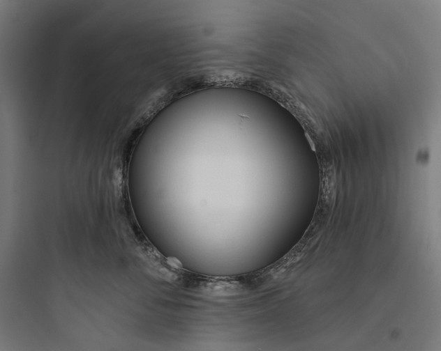 X0000093760716200711061111