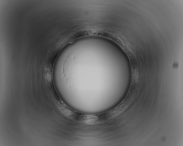 X0000093760719200711061111