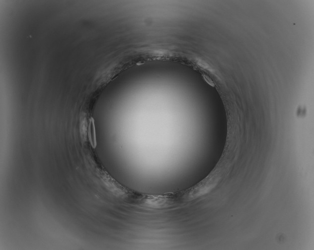 X0000093760720200711061111